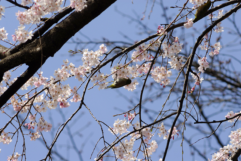 image0171