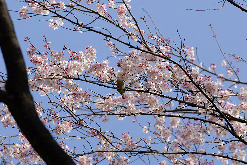 image0172