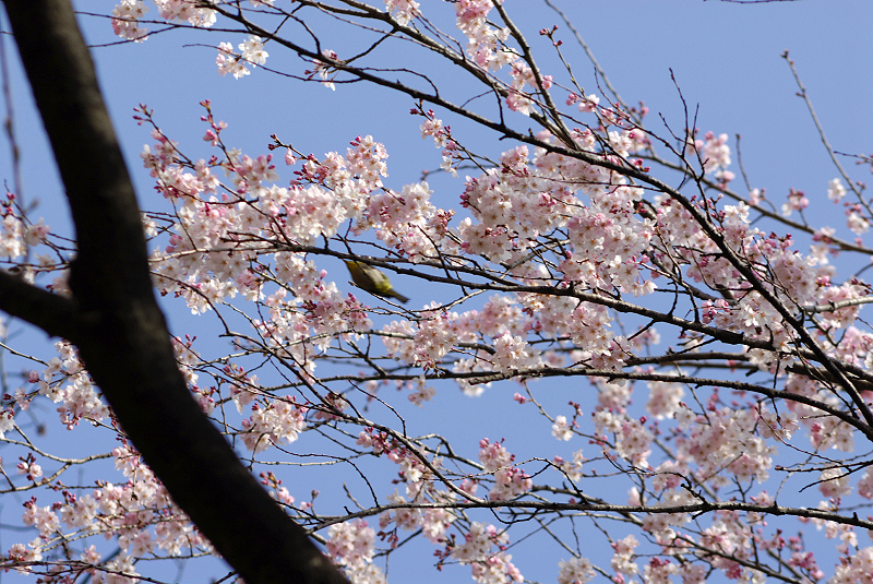 image0173