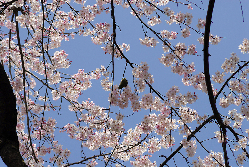 image0174