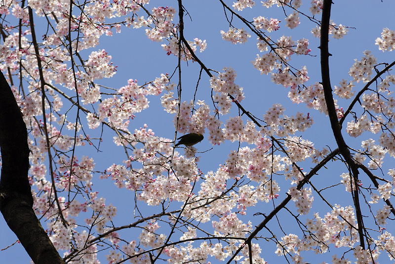 image0175