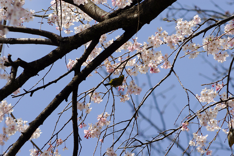 image0176