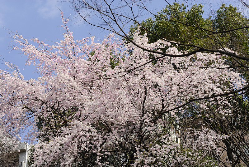 image0177