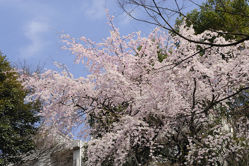 image0178