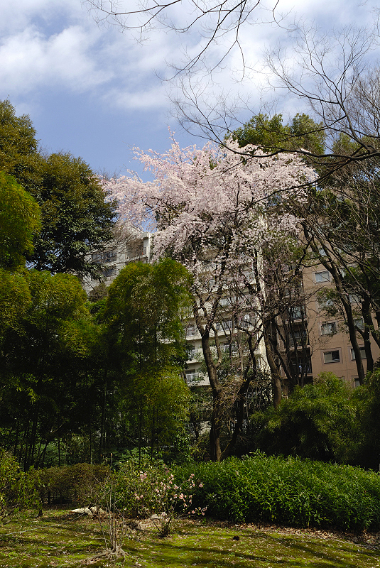 image0181
