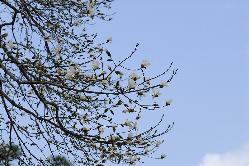 image0183