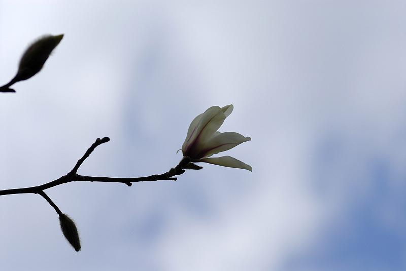 image0184
