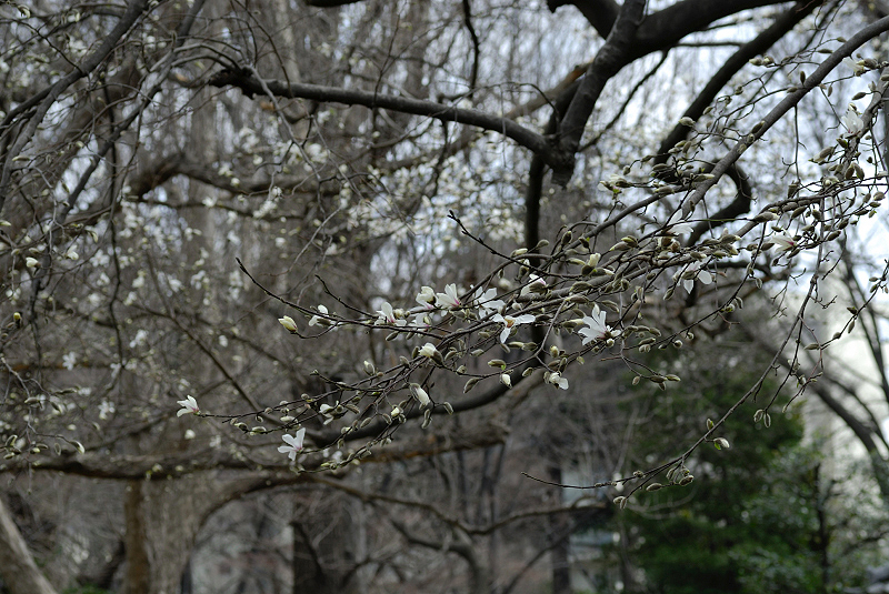 image0185