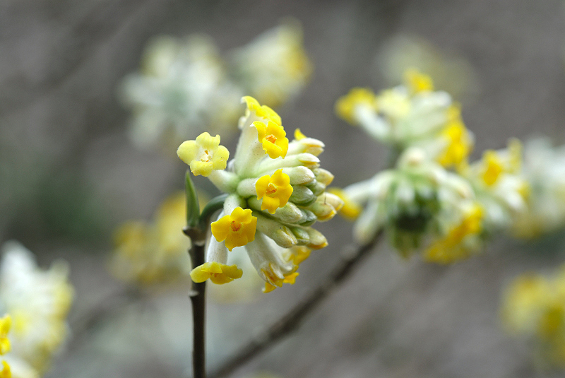 image0192