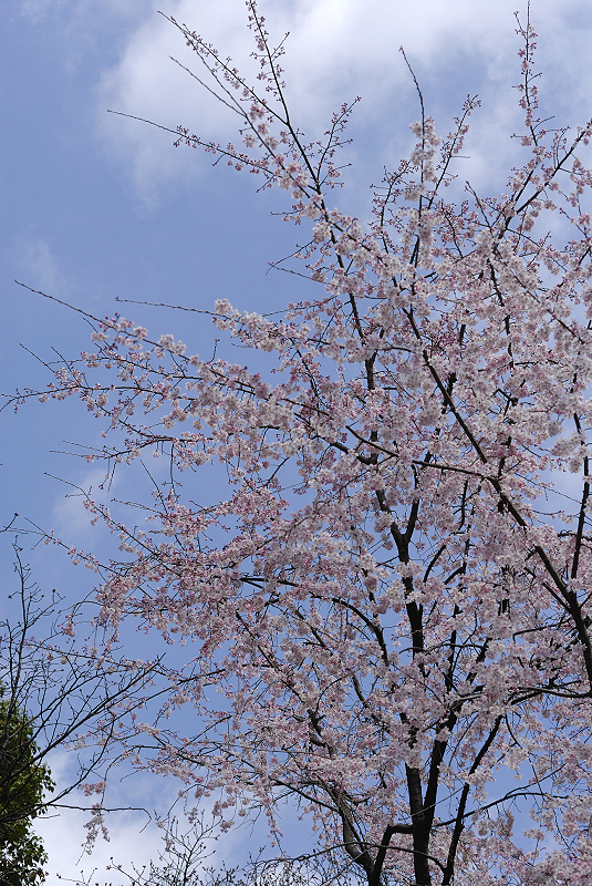 image0199