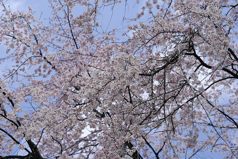 image0200