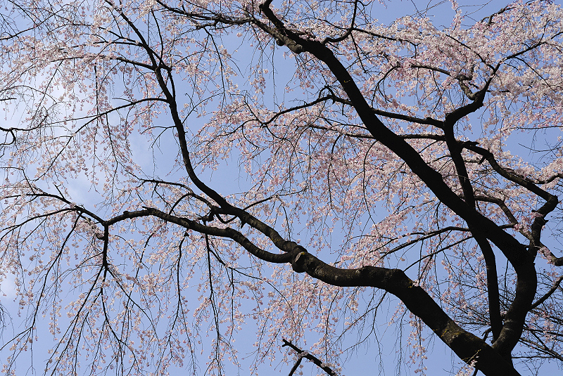 image0202