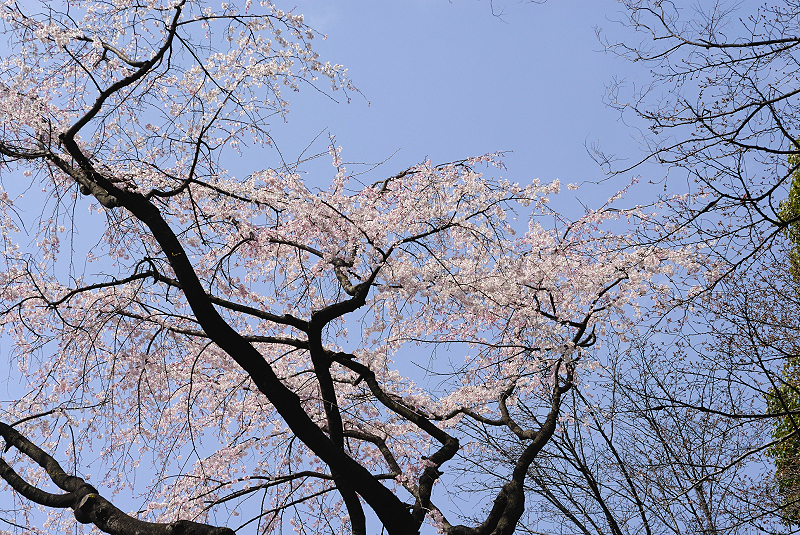 image0203