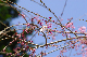 image0128