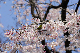 image0131