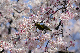 image0135