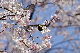 image0137