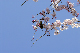 image0142