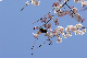 image0143