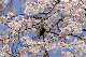 image0144