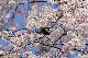 image0145