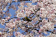 image0146