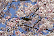 image0147