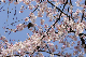 image0148