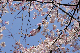 image0149
