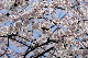 image0151