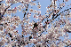 image0152