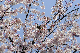 image0153
