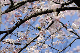 image0154