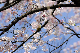 image0155
