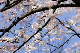 image0156