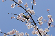 image0158