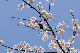 image0159