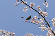 image0160