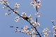 image0161