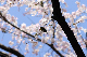 image0166