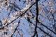 image0167