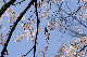 image0169