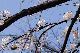 image0170