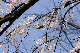 image0171