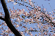 image0173