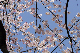 image0174