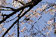 image0176