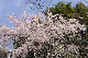 image0177