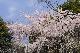 image0178