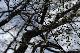 image0182